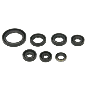 Winderosa Engine simmerings' sets Kawasaki KSF 250 87-04