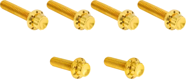 Arlen Ness Set Of Bolts For The Transmission Side Cover Harley Davidson FLD / FLDE / FLFB 1450-1977cc 06-25
