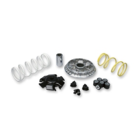 Variatoriaus kompl. MALOSSI Maxi Multivar ​​​​​​​Honda ADV / Forza / PCX / SH 125-150cc 4T 13-20