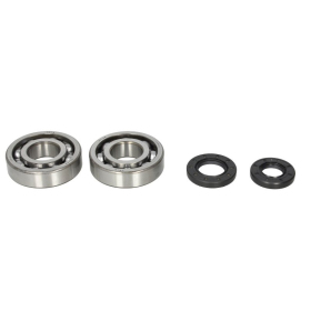 4Ride Crankshaft Bearing Kit Kawasaki KDX / KX 250cc 87-01