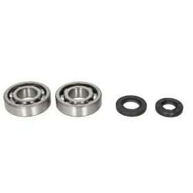 4Ride Crankshaft Bearing Kit Kawasaki KDX / KX 250cc 87-01