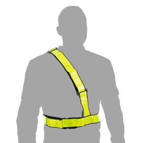 Oxford Bright Belt L