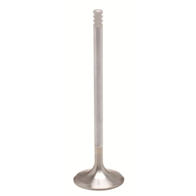 KIBBLEWHITE Valve - White Diamond Harley Davidson FLDE / FLFB / FLHR / FLHTK / FLHX / FLSL / FLTRX / FXFB / FXLR 1750-1868 17-20