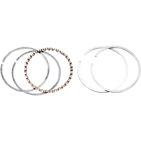 HASTINGS Replacement Piston Rings Harley Davidson FLD / FLHR / FLHTC / FLHTK / FLX / FLRT / FLS / FXDB / FXDL / FXSB 1690-1750 03-17