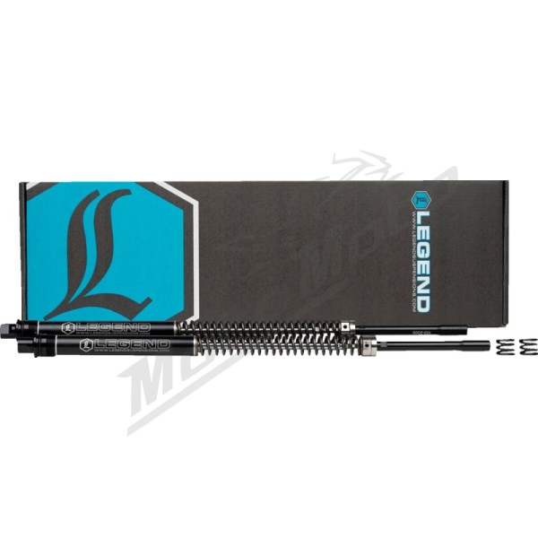 LEGEND SUSPENSION AXEO Front Suspension System Ø41mm Harley Davidson FLS / FLSTF / FLSTFI / FXCW / FXSTC 1450/1800 00-17