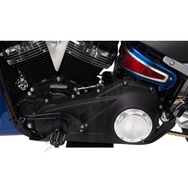 THRASHIN SUPPLY CO. Billet Shift Lever Harley Davidson FLDE / FLFB / FLFBS 1750-1923cc 18-25