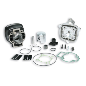 Cylinder Kit MALOSSI Cast Ø47 Pin Ø12 Aprilia / Piaggio / Gilera 50cc 91-17 H2O