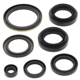 Winderosa (vertex) engine seal set (kit) Arctic Cat / Suzuki 400 03-15