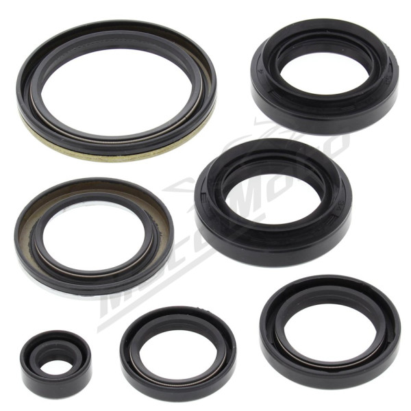 Winderosa (vertex) engine seal set (kit) Arctic Cat / Suzuki 400 03-15