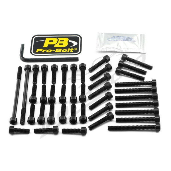 PRO BOLT variklio varžtų kompl. Yamaha MT-03 660 06-13