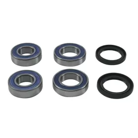 ALL BALLS Rear Wheel Bearing Kit APRILIA CAPONORD / SL / SMV 900-1200cc 2013-2019