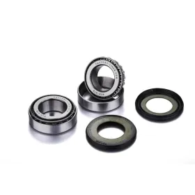 FACTORY LINKS Front Wheel Bearing Kit Triumph TF 250-450 24-26