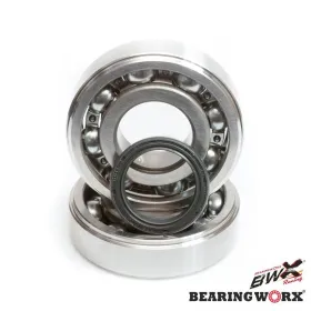 BEARING WORX Crankshaft bearings with sealers Suzuki RMZ 450 05-07