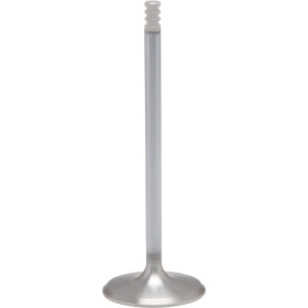 KIBBLEWHITE White Diamond® Engine Valve Harley Davidson FLDE / FLFB / FLHCS / FLHRC / FLHTK / FLRT / FLTRX / FXLR / FXST 1750-1868 17-26