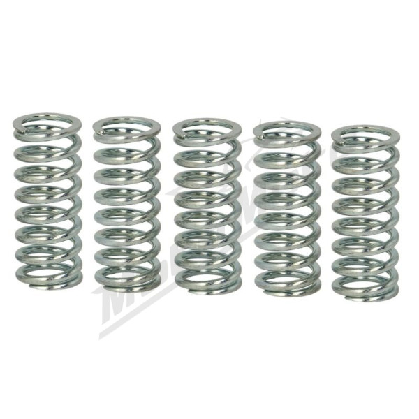 TRW Clutch springs set Honda CB / CBF / CBR / VFR 600-800 03-16