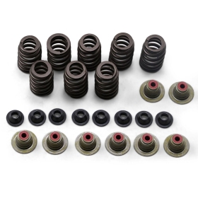 KIBBLEWHITE Valve Spring Kit Polaris Ranger RZR / XP 900 13-16