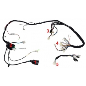 Wiring harness CHINESE SCOOTER/ CPI HUSSAR 50cc 2T