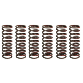 TRW Clutch springs set Suzuki DL 650 12-21