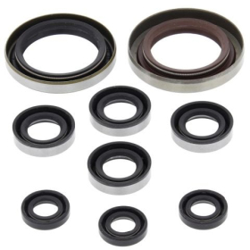 Winderosa (vertex) set (set) of engine seals KTM / Polaris 450-525 07-11