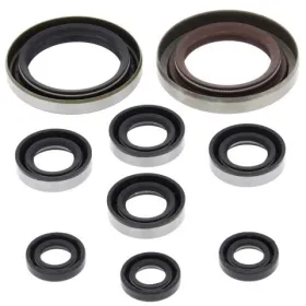 Winderosa (vertex) set (set) of engine seals KTM / Polaris 450-525 07-11