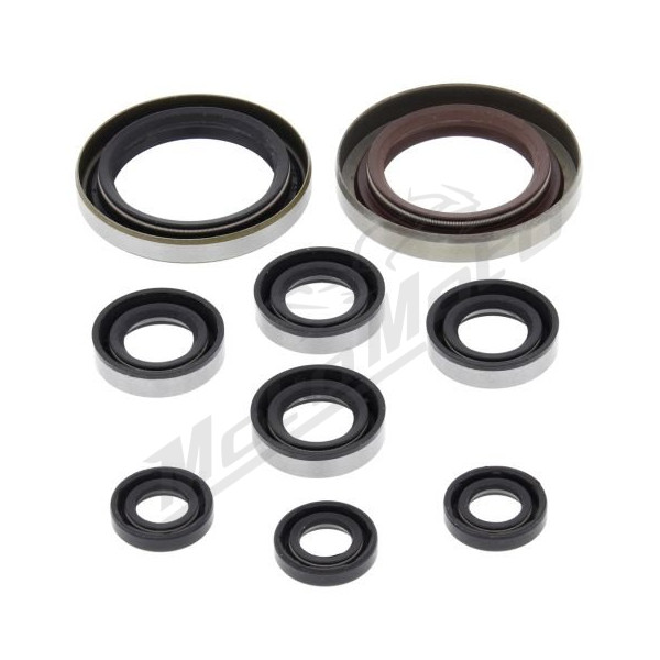 Winderosa (vertex) set (set) of engine seals KTM / Polaris 450-525 07-11