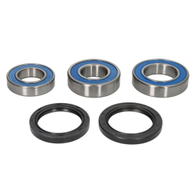 All Balls Rear Wheel Bearing and seals Kit BMW M 1000 21-25