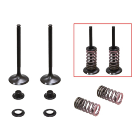 Psychic 2024/03 exhaust valves (valve set with springs and washers) Yamaha WR-F / YZ-F / YZ 450cc 14-20