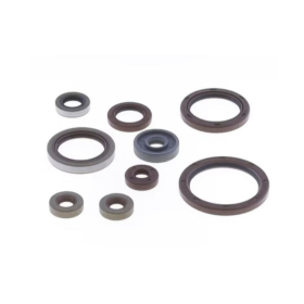 Athena set of engine seals Beta RR / RR Racing 350-480cc 11-25