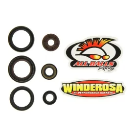 Winderosa Variklio riebokšlių kompl. KTM SX-F / XC-F / XCF-W 250 05-13