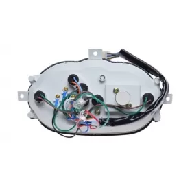 Scooter speedometer