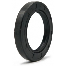 Oil seal 10x16x4 TC (double lip)