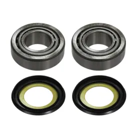 Sixty5 steering bear kit 20x42x15 2pcs Beta Evo / REV3 80-300 05-14