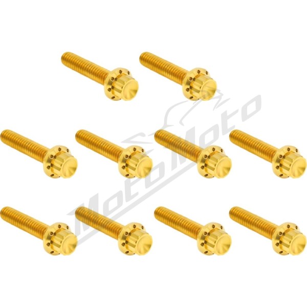 ARLEN NESS Cam Cover/Point Cover Titanium 12-Point Bolt Kit 12pcs. M8