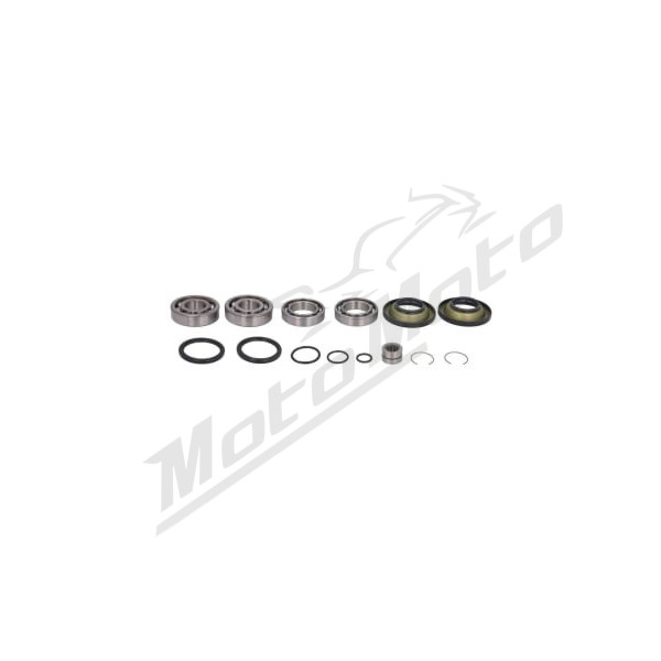 4RIDE Differential bearing and spacer set Honda Pioneer 700cc 14-25