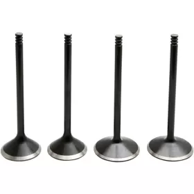 KIBBLEWHITE Black Diamond™ Engine Valve Kit Harley Davidson XL / XR 1200 03-22