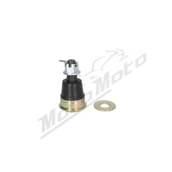 4RIDE Lower Hinge 1000cc 19-21