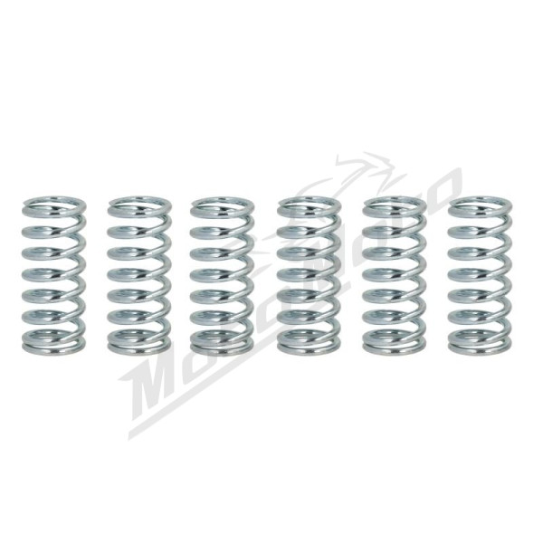 FERODO Clutch Spring Set Aprilia / BMW 650-1000cc 1993-2008