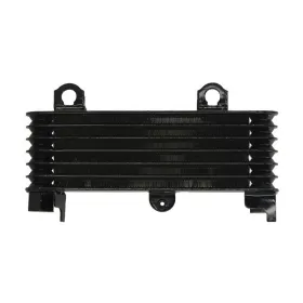 4Ride Radiator Suzuki DL / TL 1000cc 97-06