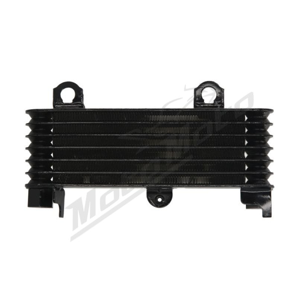 4Ride Radiator Suzuki DL / TL 1000cc 97-06