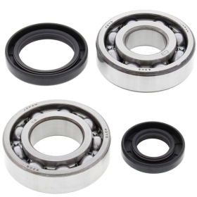 ALL BALLS Crankshaft Bearing & Oil Seal Kit Suzuki RM 250 82-85