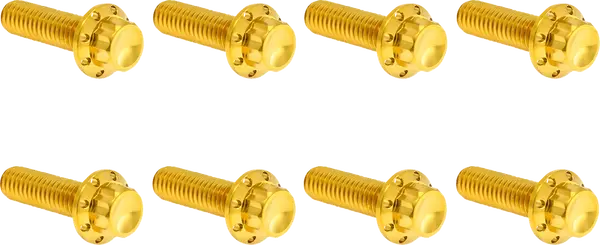 Arlen Ness Set Of Bolts For The Transmission Side Cover Gold Harley Davidson FLDE / FLFB 1584-1977cc 07-25