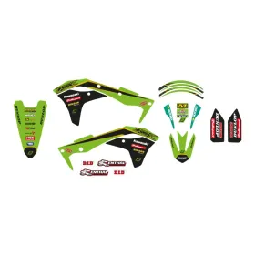 BLACKBIRD RACING Blackbird Racing Kawasaki grafikos 