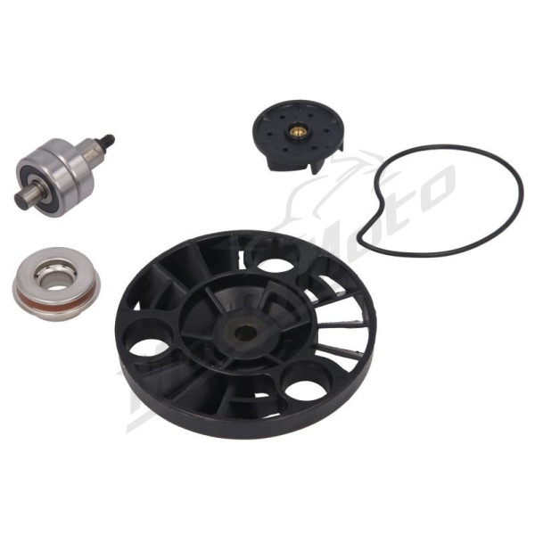 RMS Water pump repair kit Aprilia / Piaggio / Vespa / Gilera 125-200 04-11