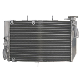 4Ride Radiator HONDA CBR 600 2001-2007