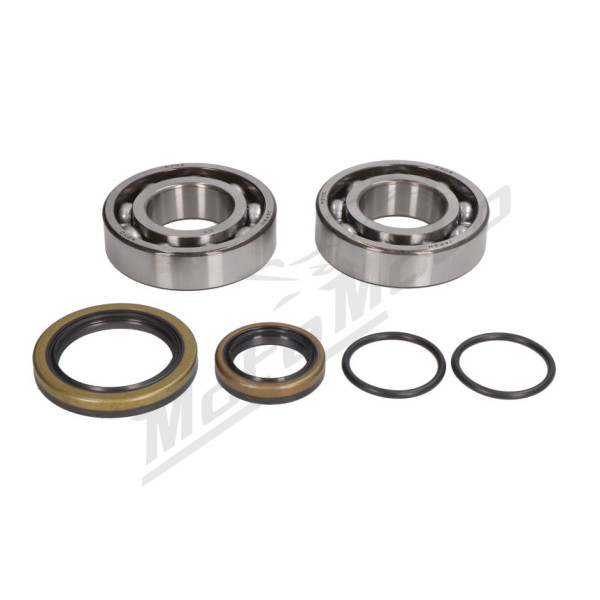 ALL BALLS Crank Bearing and Seal Kit Beta RR / RX / Xtrainer 250-300 13-22