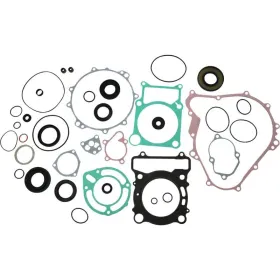 Winderosa (vertex) set of gaskets with engine seals Yamaha Kodiak 450 18-21