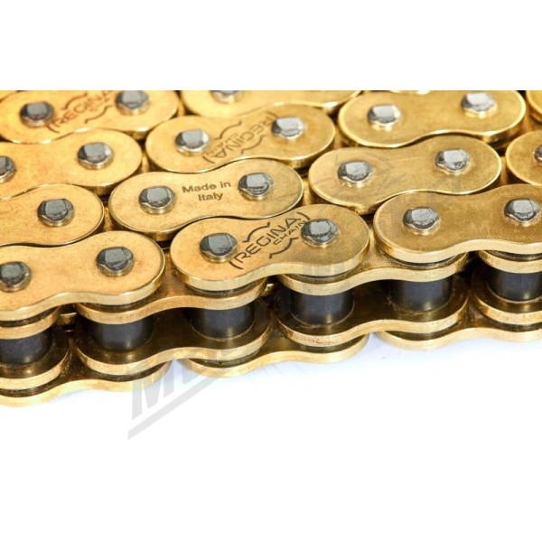 REGINA 520 HPE Drive Chain 130 Links