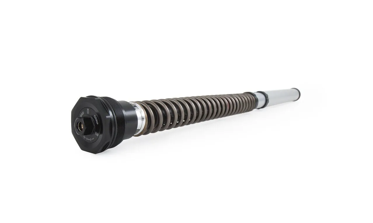 Ohlins NIX 22 priekinės šakės kasetės Yamaha FZ-7 / MT-07 / XSR 700cc 14-24