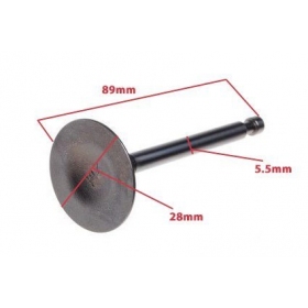 Valve kit ATV 250 STXE