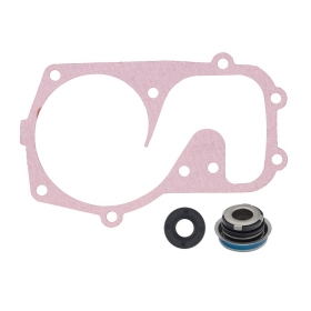 Sno-X vandens siurblio remonto rinkinys Polaris 440-800 94-21